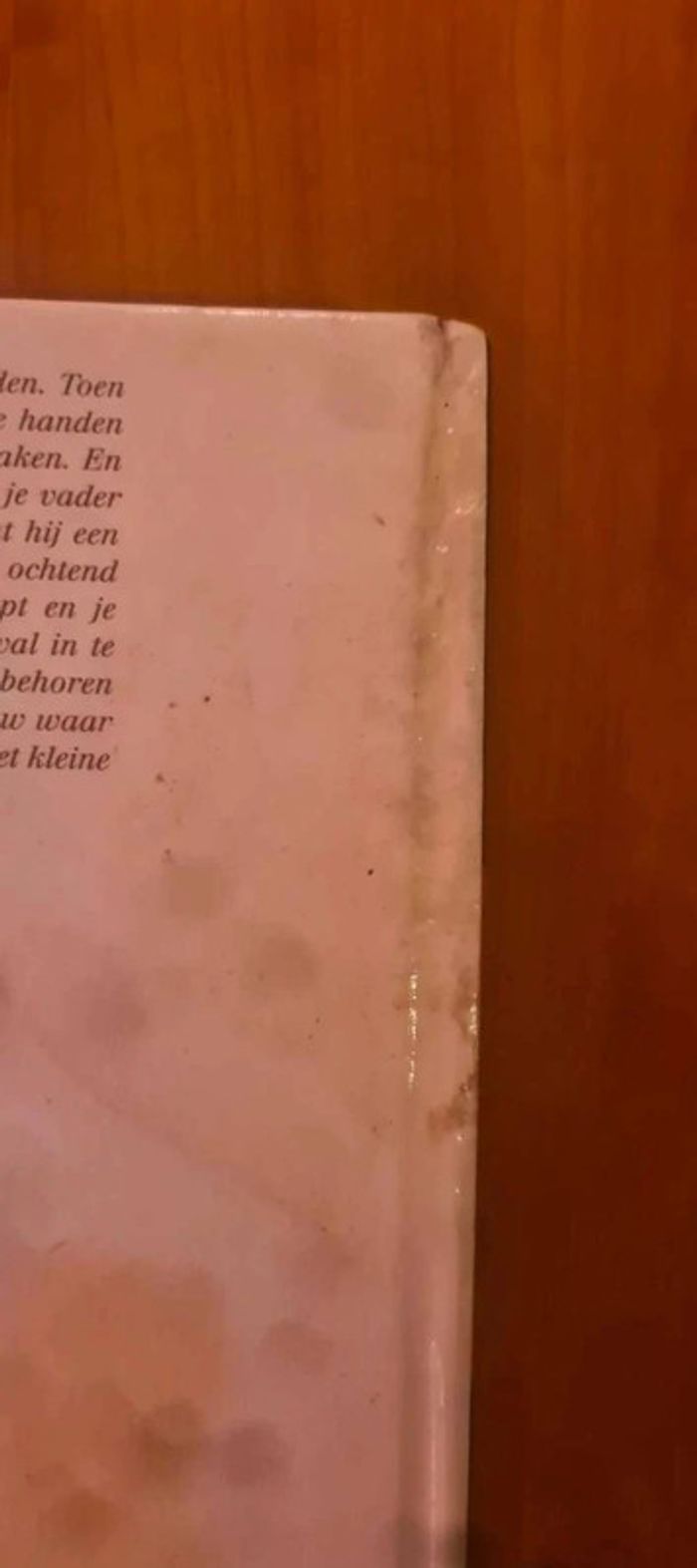 Bd Clara de erfenis 1999 - photo numéro 8