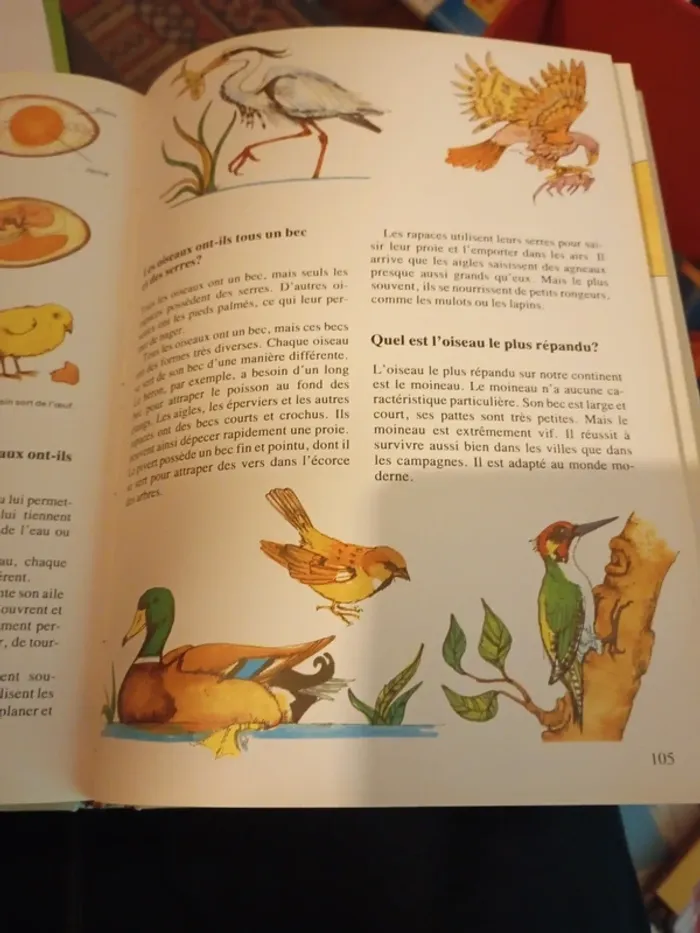 400 questions 400 réponses à tout - photo numéro 4