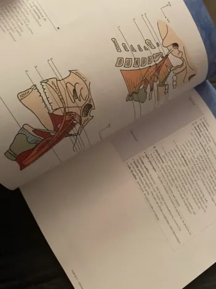 Anatomie des organes et viscères Michel Dufour - photo numéro 6