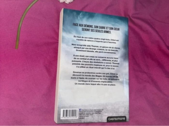 Le cœur et le sabre