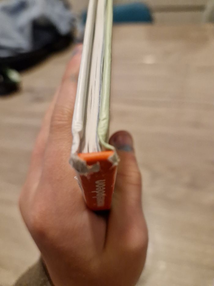 BD bienvenue chez les loud - photo numéro 6