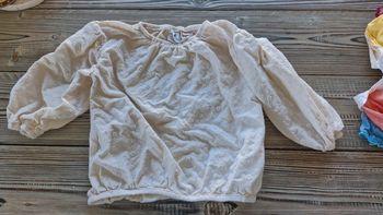 Haut manche longue broderie Zara