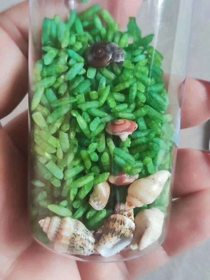 Bouteille sensorielle retour au calme - photo numéro 4