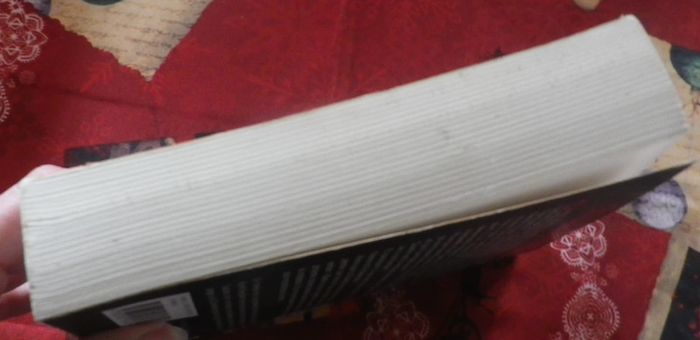 Crime par ascendant de Ruth Rendell Ed. Calmann-Lévy - photo numéro 4