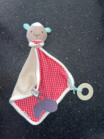 Doudou mouton 🐑