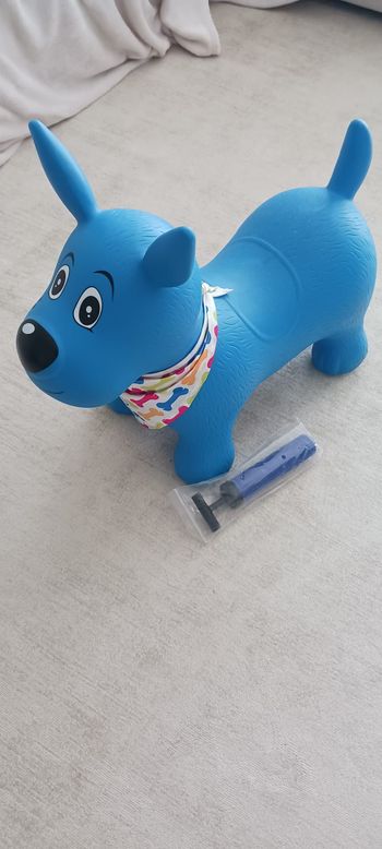 Ludi - Chien Sauteur Bleu