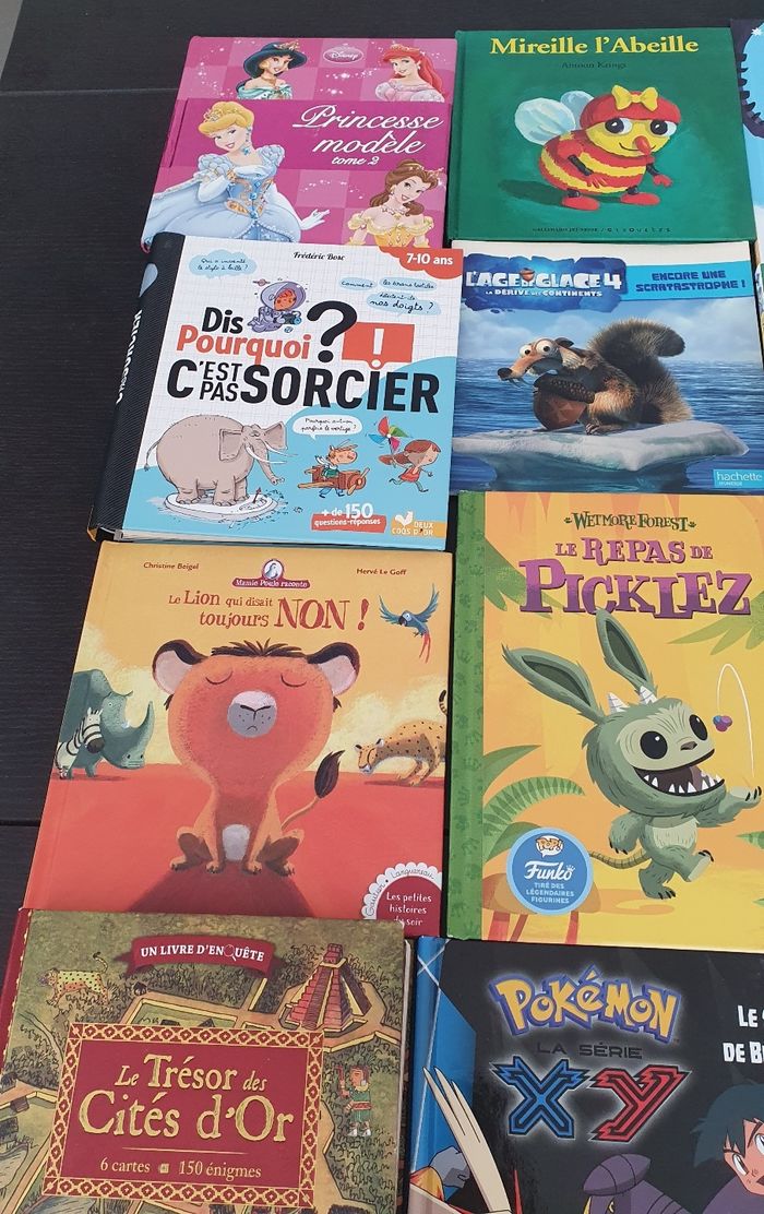 Divers livres enfants - photo numéro 6