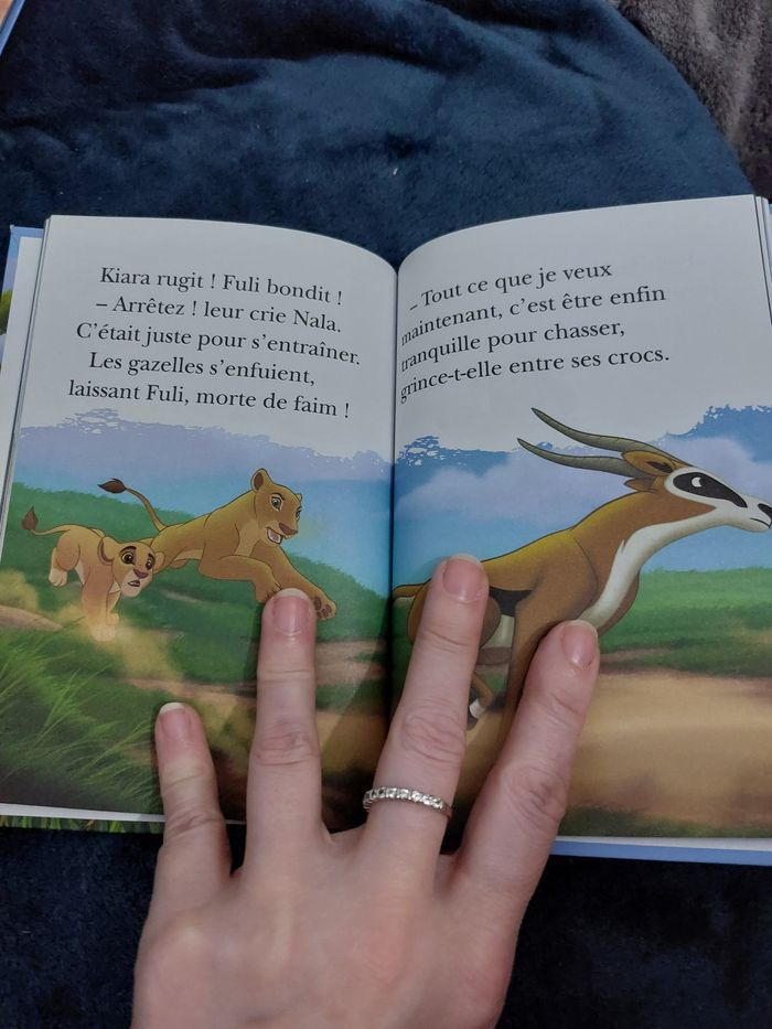 Bibliothèque verte "La Garde du Roi Lion"