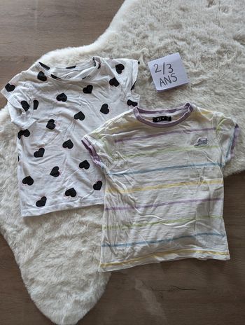 Lot de 2 t-shirts