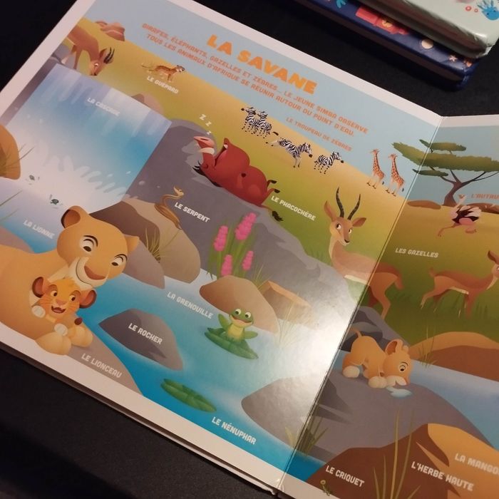 Livre Disney mes premiers imagiers mon grand imagier les premières notions - photo numéro 10