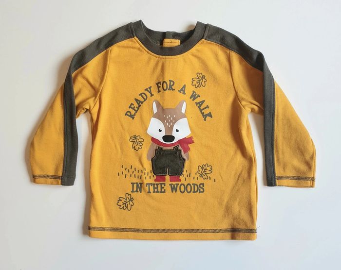 Ensemble renard - photo numéro 2