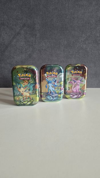 Mini Tin - EV8.5 - Evolutions Prismatiques