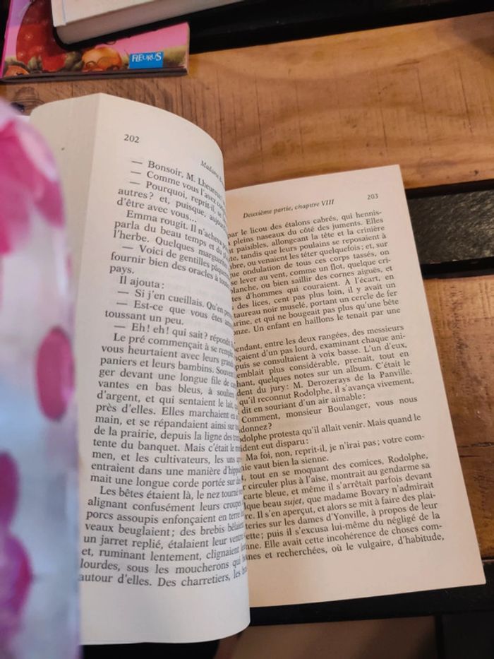 Madame Bovary - photo numéro 7