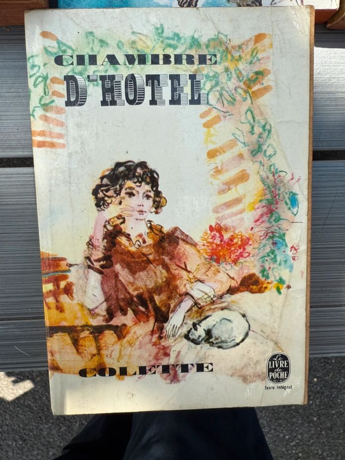 Lot de 10 livres - photo numéro 11