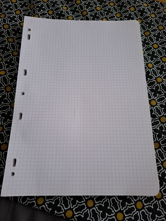 Feuilles simples petits carreaux - photo numéro 3