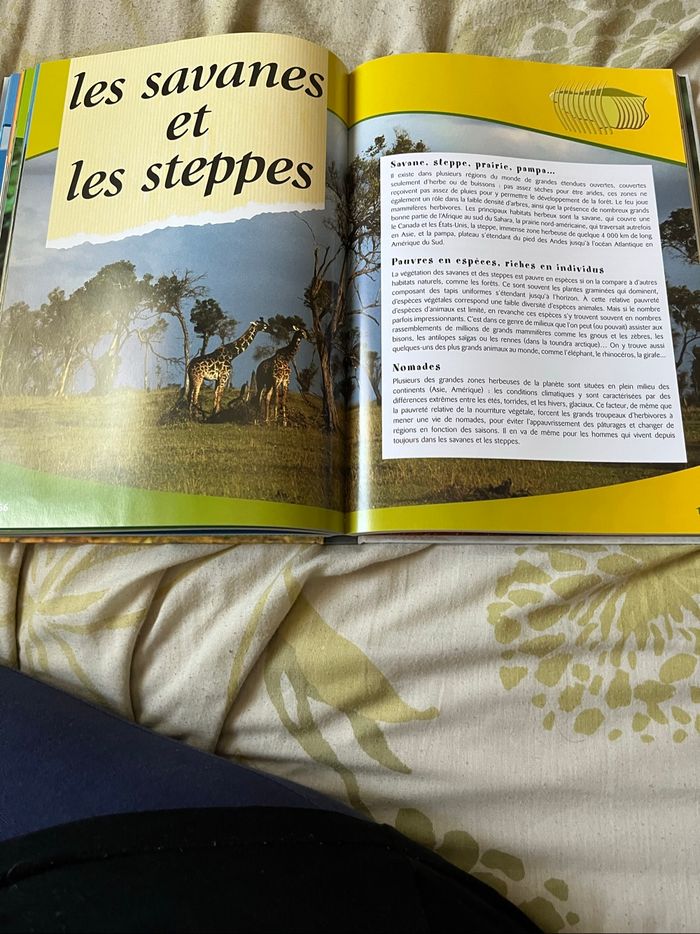 Livre. Animaux à protéger neuf - photo numéro 4