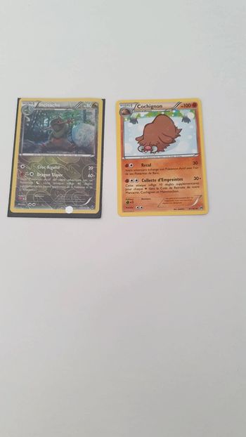 2 cartes Pokémon