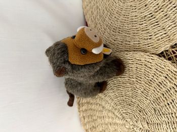Peluche sanglier 21cm Plush & Cie