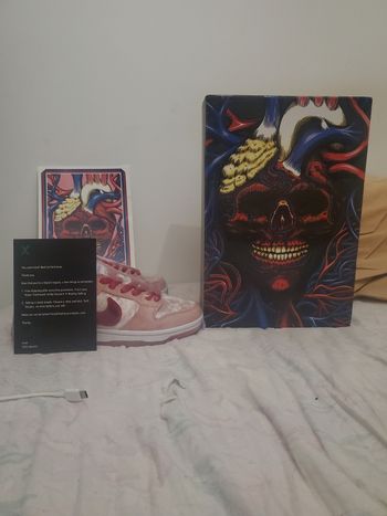Nike sb strange love
