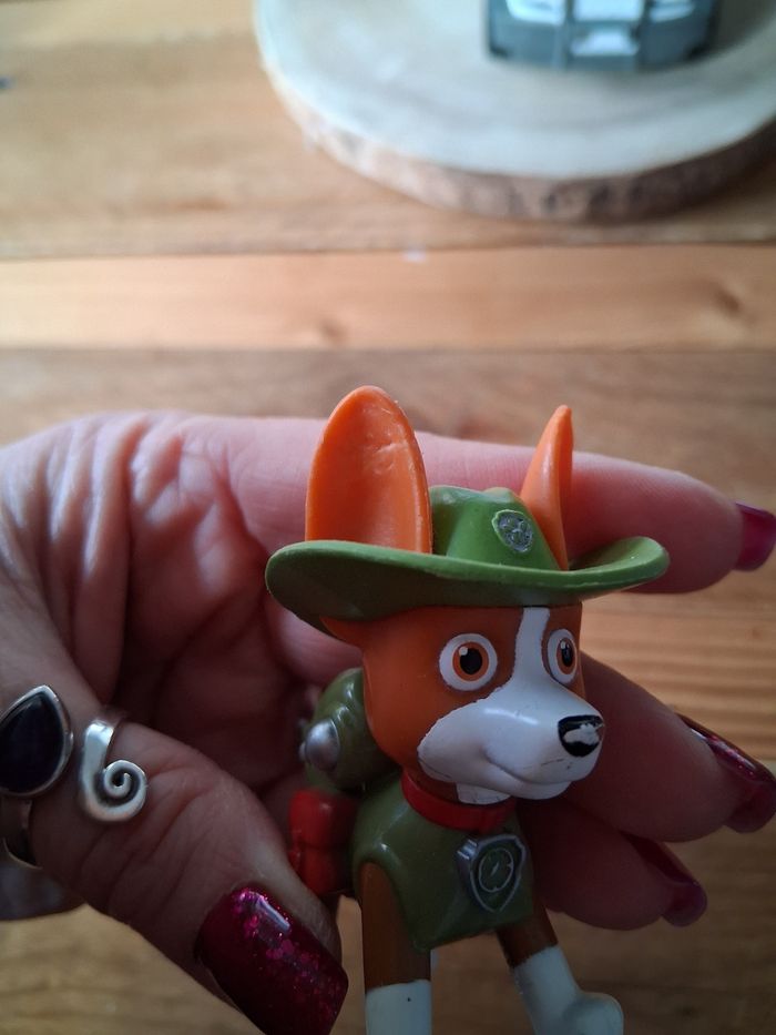 Pat patrouille - photo numéro 2