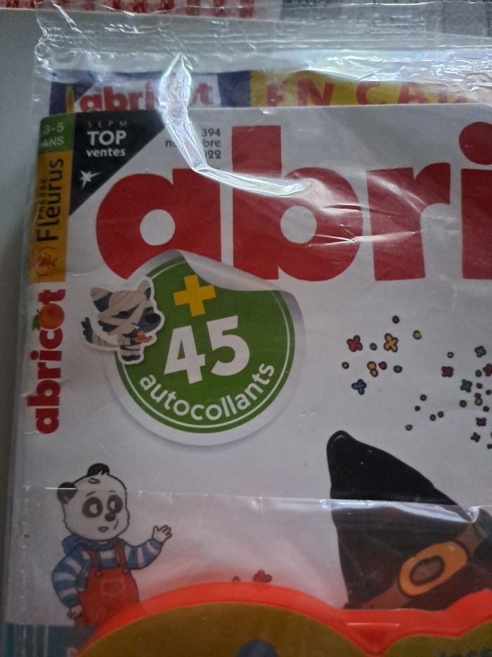 Livre activités - photo numéro 4