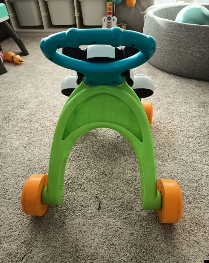 Trotteur zèbre - photo numéro 3