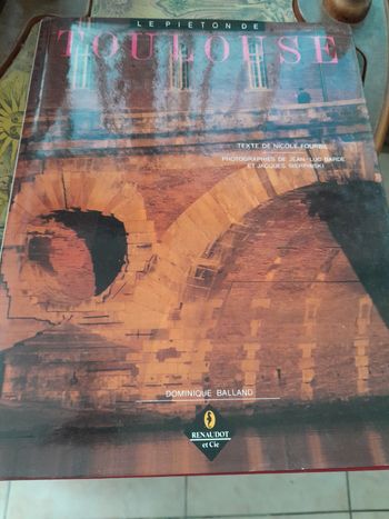 Livre le piéton de Toulouse