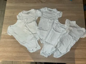 5 bodies