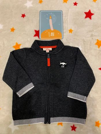 Gilet Manches Longues Zippé Du Pareil Au Même Gris 1 An