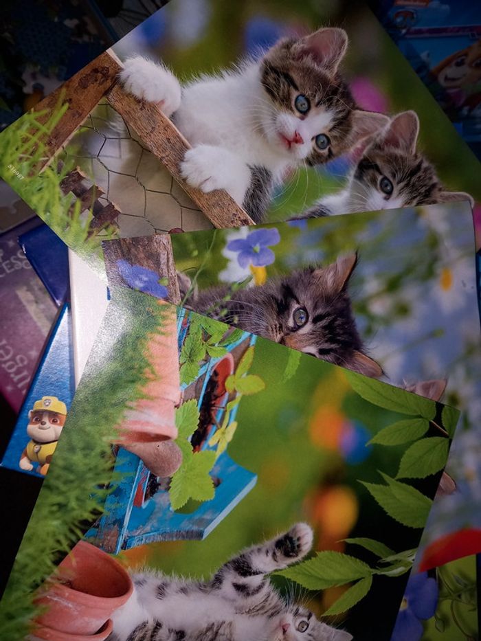 Ensemble de 3 puzzles chats ravensburger - photo numéro 2