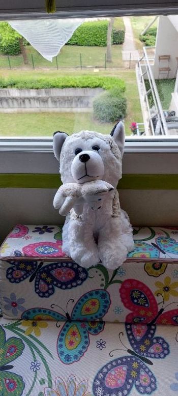 Peluche huski avec son bébé