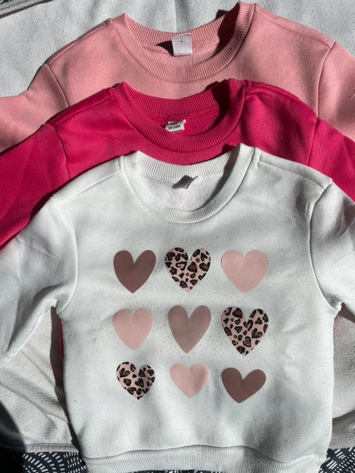 Lot de pull