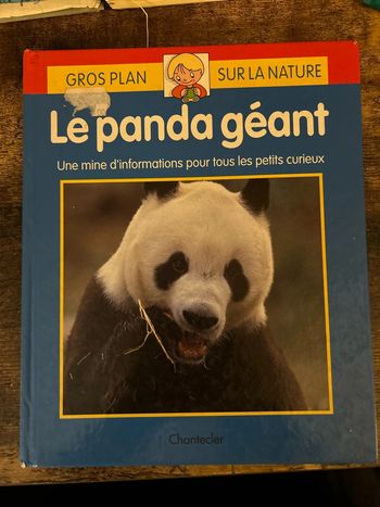 le panda géant