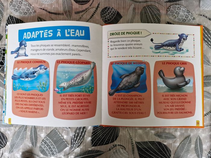 Livre enfant - photo numéro 3