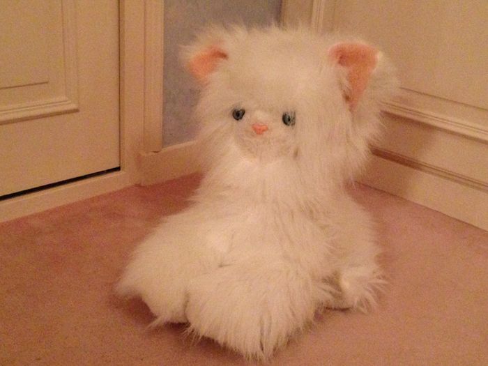 Peluche Chat