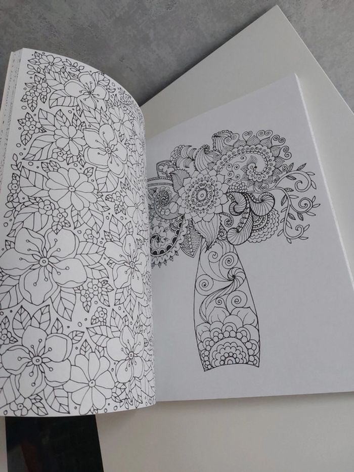 Livre coloriage pour adulte anti stress - photo numéro 9