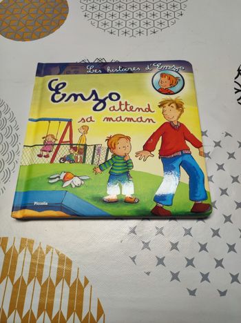 Livre les histoires d'Enzo 