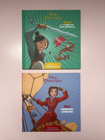 2 livres Disney Princesses Petites histoires de Grands Héros
