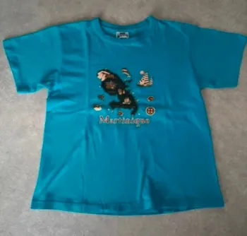 Tee-shirt garçon 12 ans