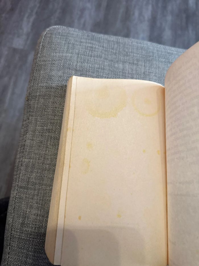 Livre les mésaventures de minty Malone - isabel Wolff - photo numéro 5