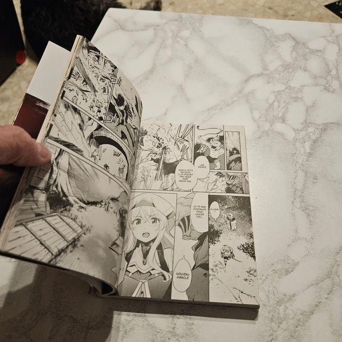 Manga - photo numéro 3