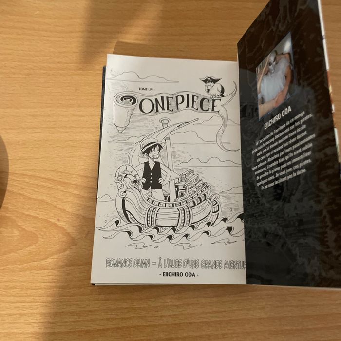 Manga one piece - photo numéro 4