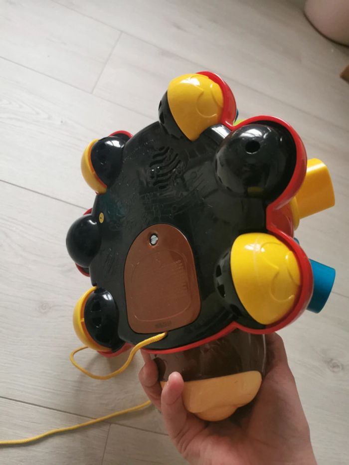 Coccinelle des formes - photo numéro 3