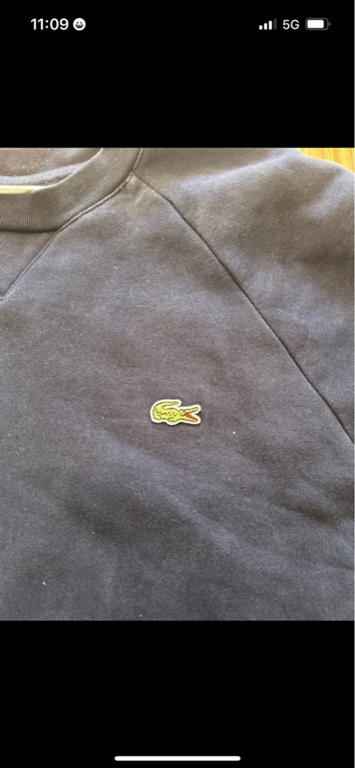 Sweat Lacoste - photo numéro 4