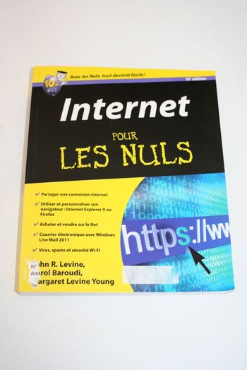 Internet pour les Nuls, First Editions