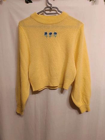 Pull court à fleurs brodées T. XS _ Divided by H&M