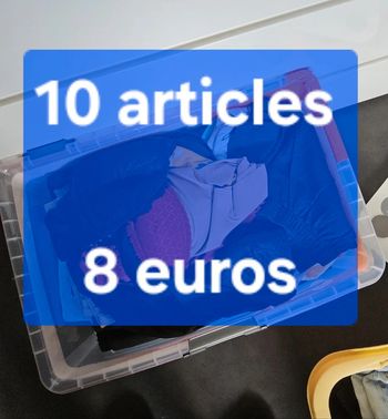 Lot 10 articles