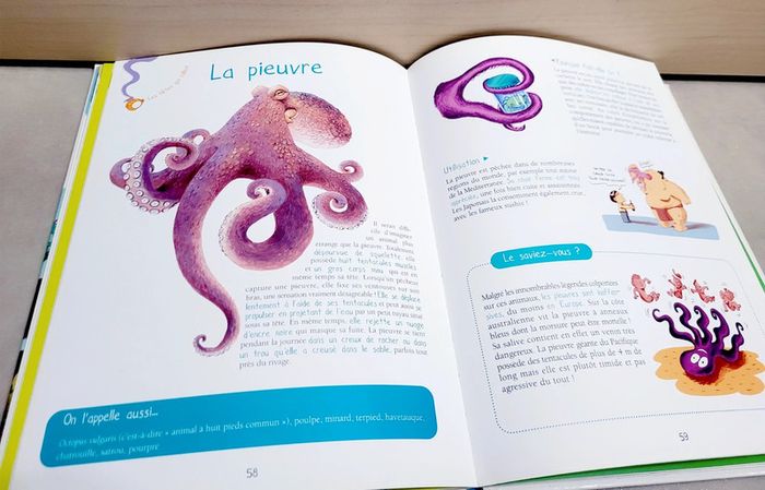 📚 Livre : Les bêtes qui crachent, qui collent, qui croquent à la mer - photo numéro 5