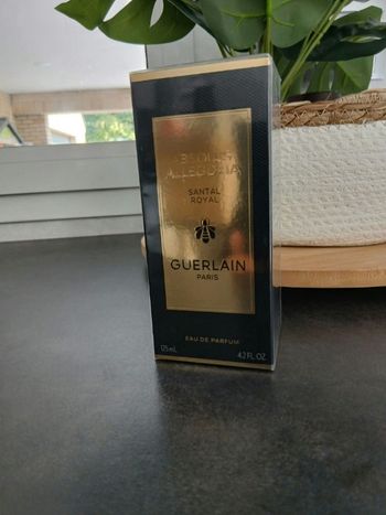 Absolus allergoria santal royal eau de parfum 100ml