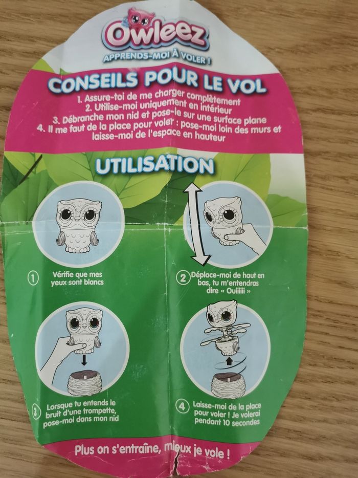 Owleez - photo numéro 8